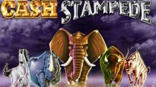 Cash Stampede slot game by Light & Wonder - reviewed by Dayna C.