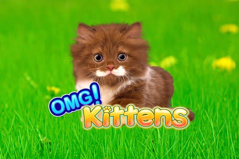 OMG Kittens slot game by Light & Wonder