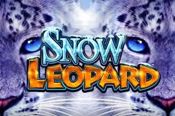 Snow Leopard slot game by Light & Wonder