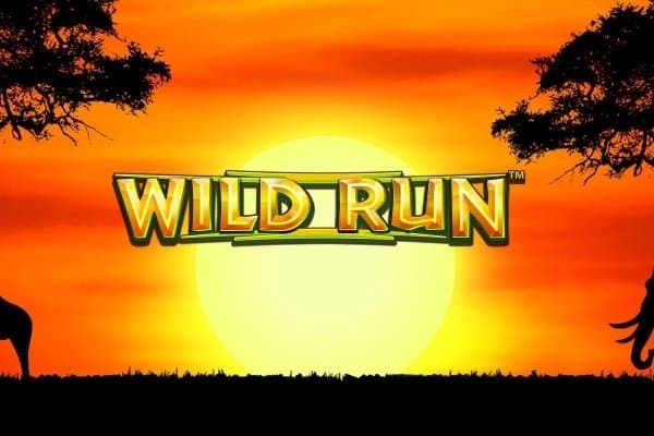 Wild Run slot game by Light & Wonder
