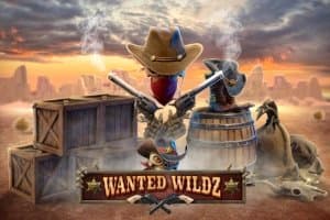 Wanted Wildz slot game by Max Win Gaming
