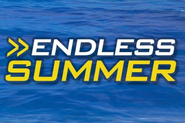 Endless Summer slot game by Merkur