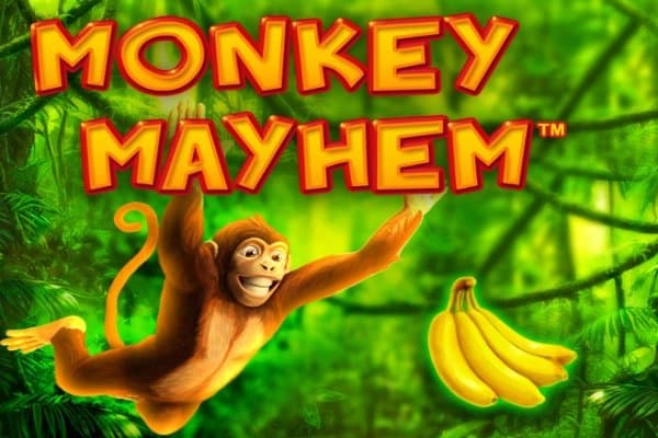 Monkey Mayhem slot game by Merkur