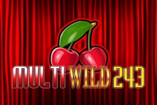 Multi Wild 243 slot game by Merkur