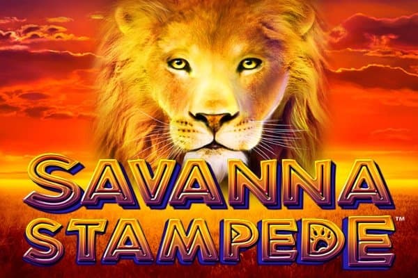Savanna Stampede slot game by Merkur