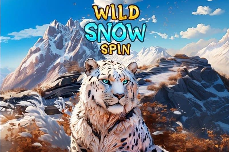 Wild Snow Spin slot game by MGA