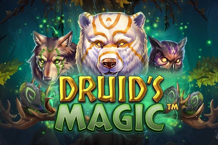 Druid's Magic slot game by NetEnt