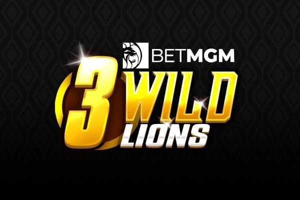 3 Wild Lions slot game by NetGaming