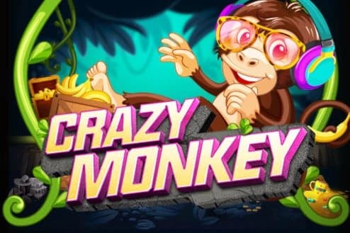 Crazy Monkey slot game by Nextspin