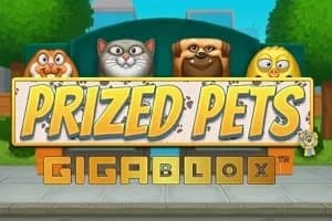 Prized Pets Gigablox slot game by Northern Lights Gaming