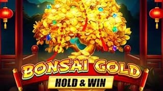 Bonsai Gold Hold & Win slot game by Novomatic - reviewed by Amy W.