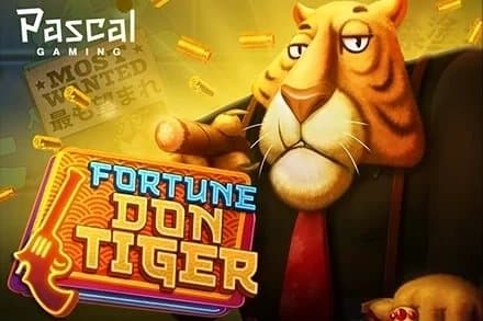 Fortune Don Tiger slot game by Pascal Gaming