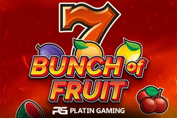 Bunch Of Fruit slot game by Platin Gaming