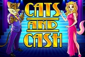 Cats & Cash slot game by Play'n GO