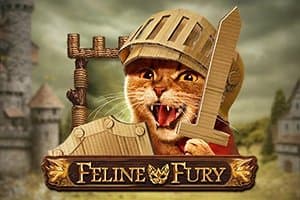 Feline Fury slot game by Play'n GO
