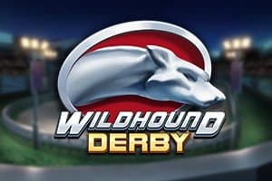 Wildhound Derby slot game by Play'n GO
