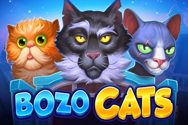Bozo Cats slot game by Playson