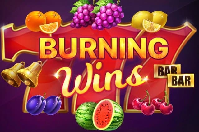 Burning Wins slot game by Playson