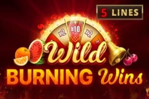 Wild Burning Wins slot game by Playson