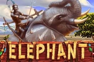 Elephant slot game by PlayStar