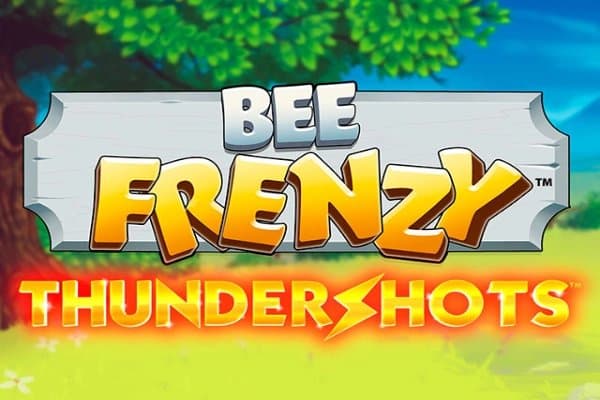 Bee Frenzy slot game by Playtech