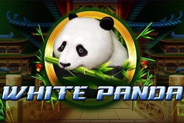 Full Moon: White Panda slot game by Playtech