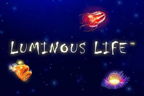 Luminous Life slot game by Playtech