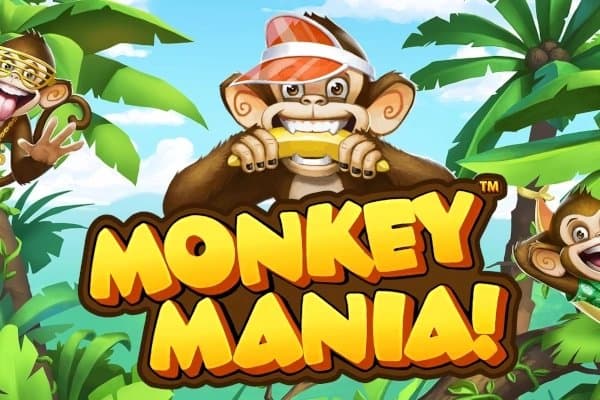 Monkey Mania slot game by Playtech