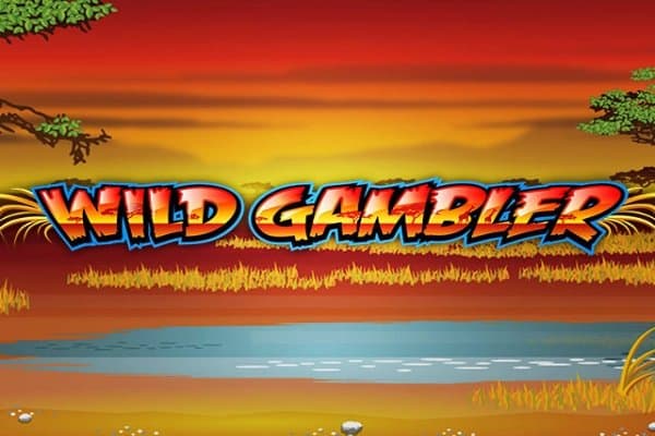 Wild Gambler slot game by Playtech