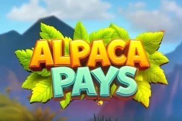 Alpaca Pays slot game by PopOK Gaming