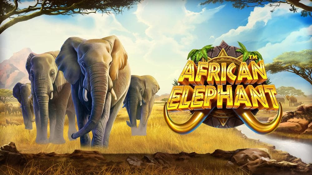African Elephant slot game by Pragmatic Play