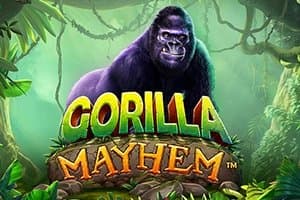 Gorilla Mayhem slot game by Pragmatic Play