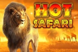 Hot Safari slot game by Pragmatic Play