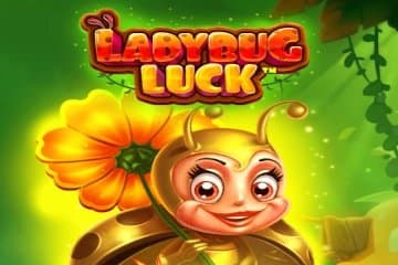Ladybug Luck slot game by Pragmatic Play
