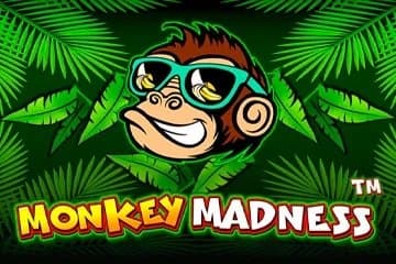 Monkey Madness slot game by Pragmatic Play