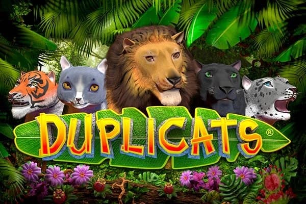 Duplicats slot game by Realistic Games