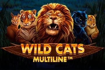 Wild Cats Multiline slot game by Red Tiger Gaming