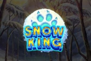 Snow King slot game by REEVO