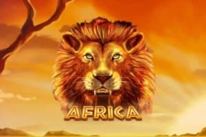 Africa slot game by Royal Slot Gaming