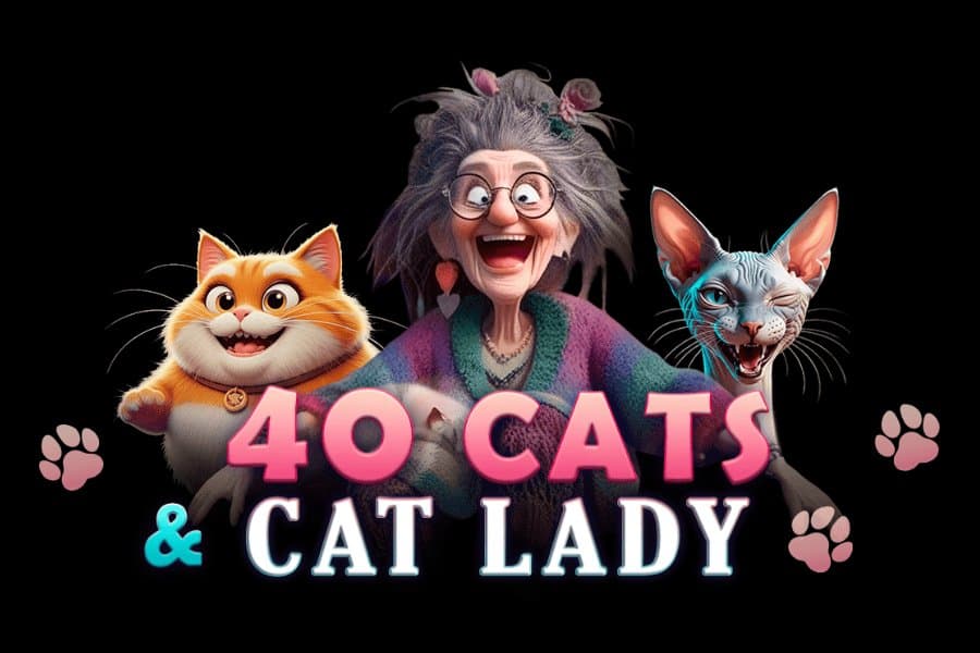 40 Cats & Lady slot game by SlotoLand