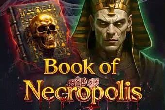 Book of Necropolis slot game by SlotoLand