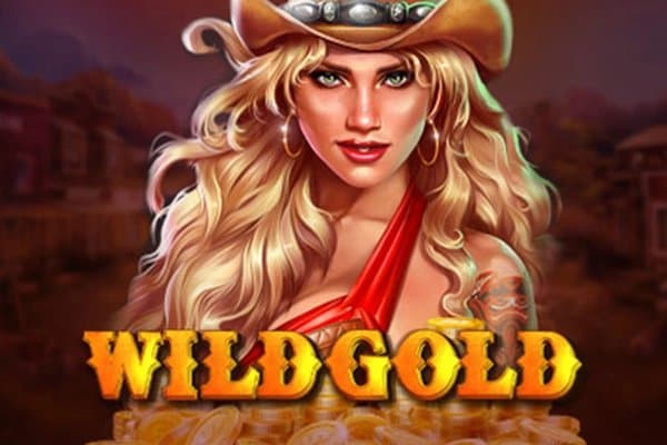 Wild Gold 100000 slot game by SlotoLand