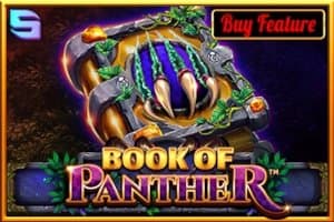 Book of Panther slot game by Spinomenal