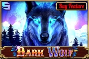 Dark Wolf slot game by Spinomenal