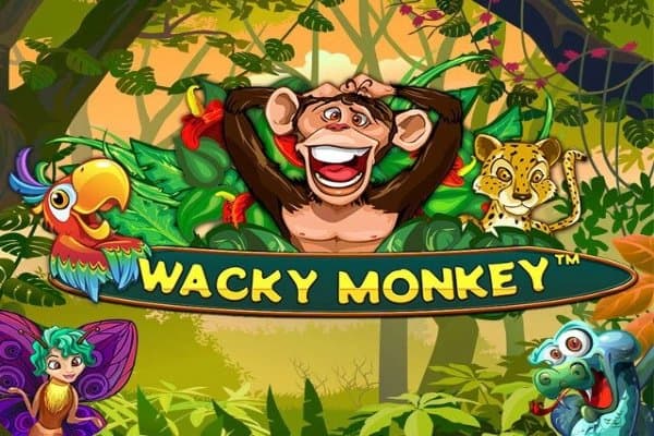 Wacky Monkey slot game by Spinomenal