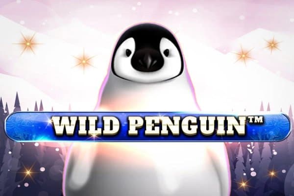 Wild Penguin slot game by Spinomenal