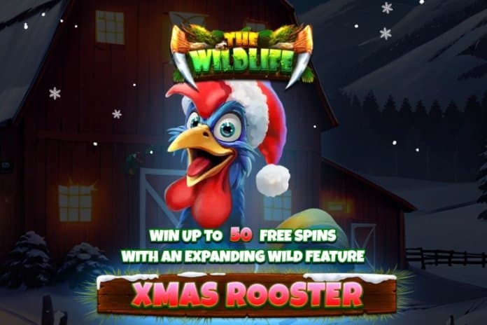 Xmas Rooster slot game by Spinomenal