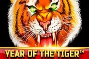 Year of the Tiger slot game by Spinomenal