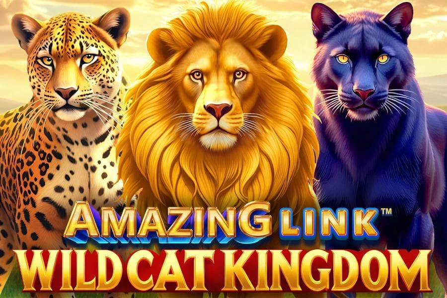 Amazing Link WildCat Kingdom slot game by SpinPlay Games