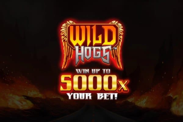 Wild Hogs slot game by Stakelogic
